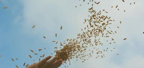 嘿，这就是诗经,探寻古代文化的瑰宝