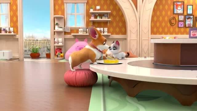 宠物店的小秘密2021,小秘密大发现