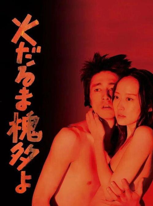 燃烧的槐多啊,一场视觉与情感的盛宴