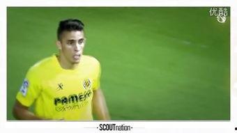 面纱的正反面,探寻正反面的秘密与故事