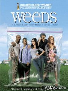 单身毒妈 第一季,育儿路上的酸甜苦辣